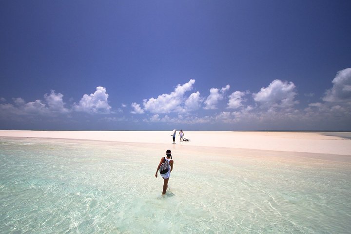 Full day Sandbank Picnic in Pemba Island