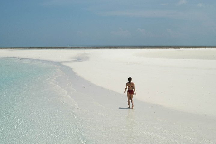 Full day Sandbank Picnic in Pemba Island