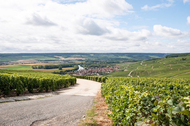 From Reims afternoon e-bike tour, visit and champagne tastings