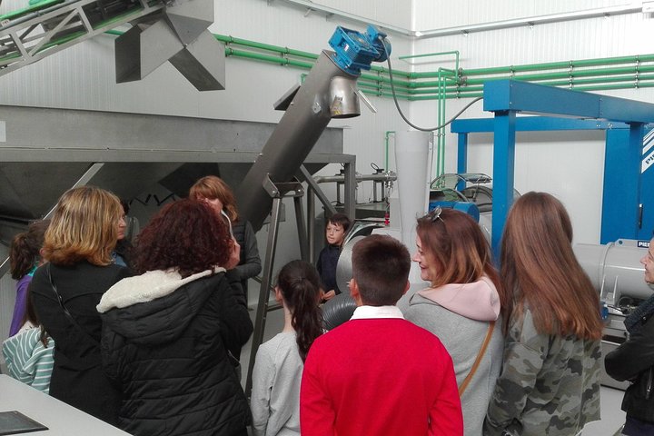 Visit to the oil mill with EVOO experiences in Cuenca