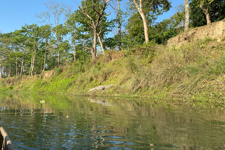 Chitwan Jungle Safari Tour