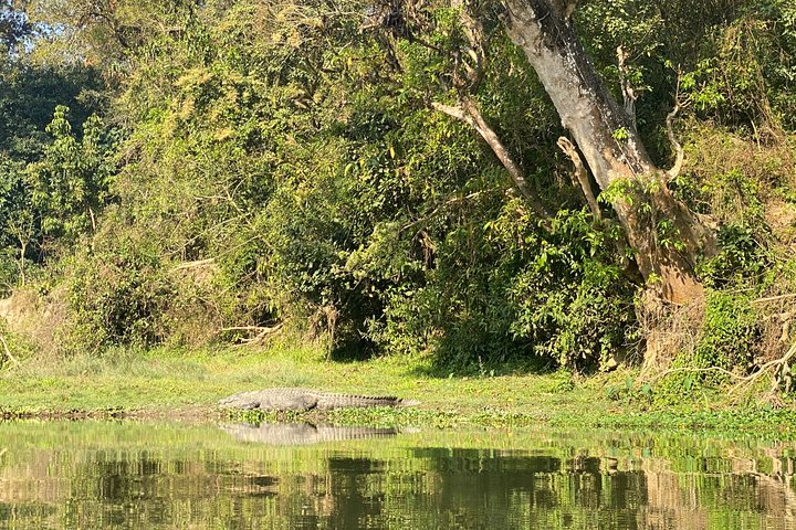 Chitwan Jungle Safari Tour