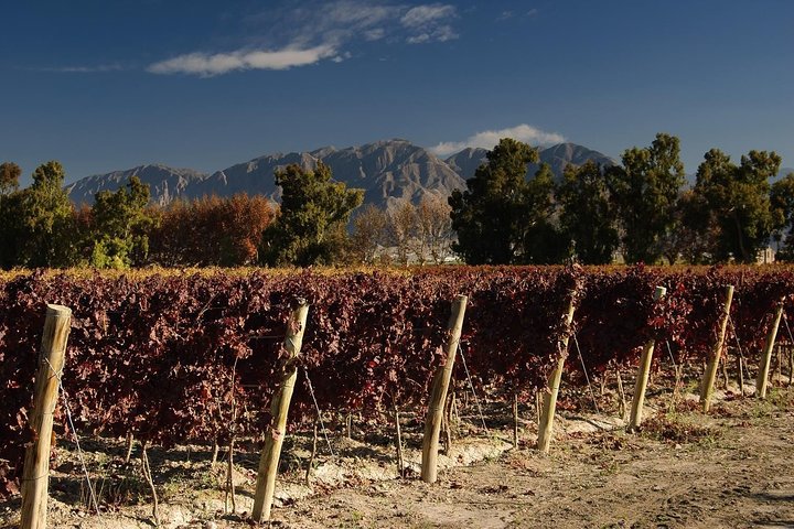 The Wine Route from San Juan