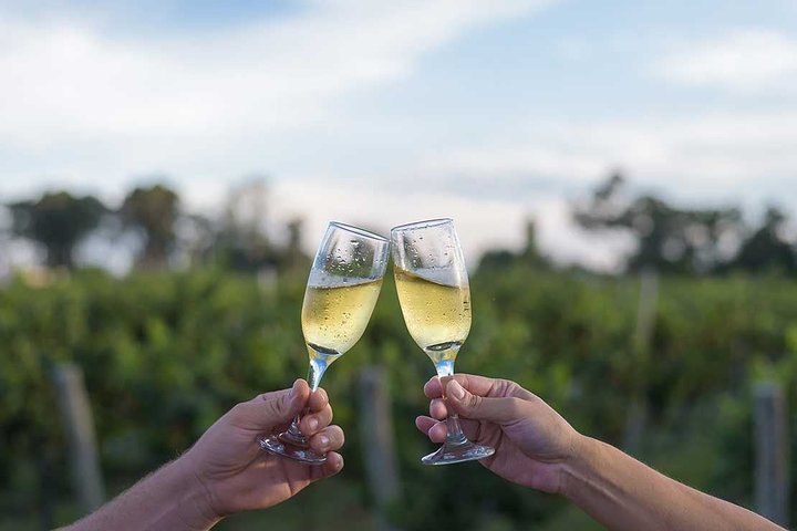 The Wine Route from San Juan