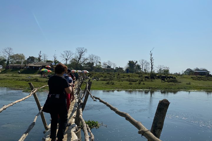 Nature Walk in Chitwan Jungle Safari with Guide