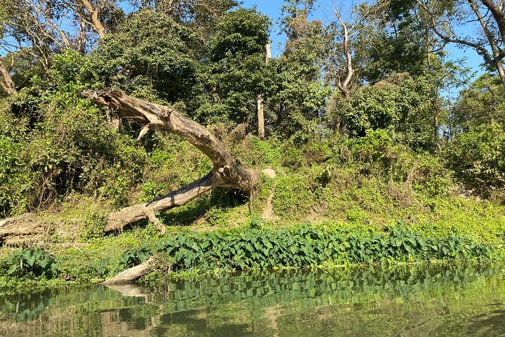 1 Night 2 Days Chitwan Safari Tour