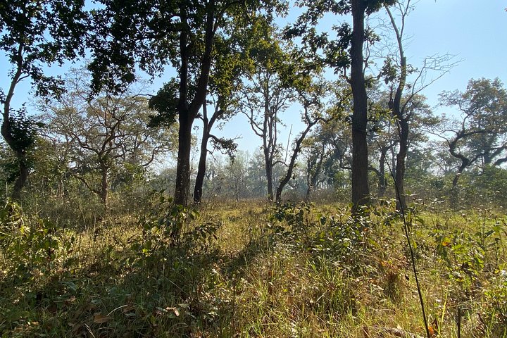 2 Nights 3 Days Chitwan Jungle Safari Tour
