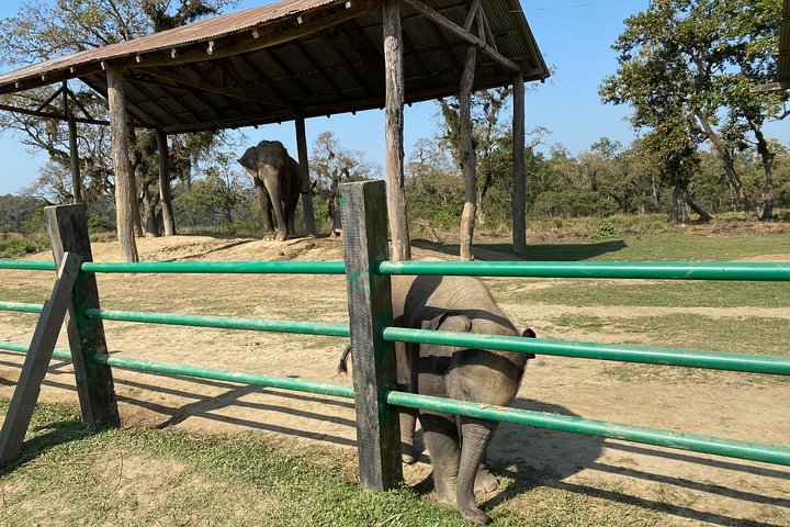 2 Nights 3 Days Chitwan Jungle Safari Tour