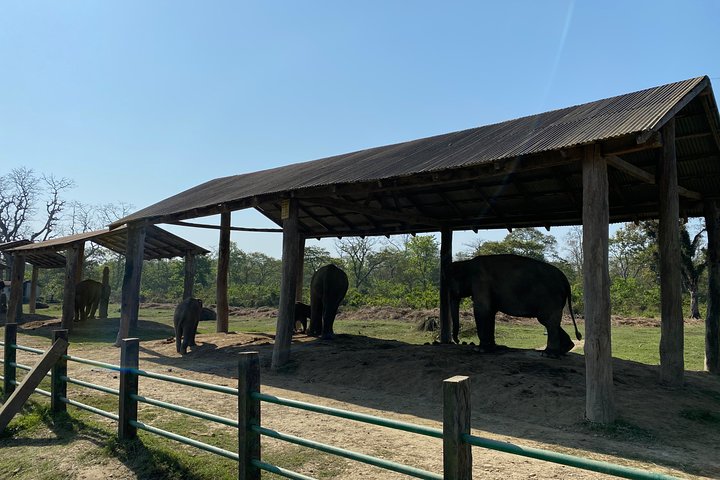 2 Nights 3 Days Chitwan Jungle Safari Tour