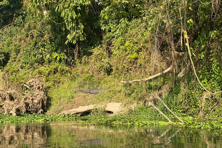 3 Nights 4 Days Comfortable Chitwan Safari Tour