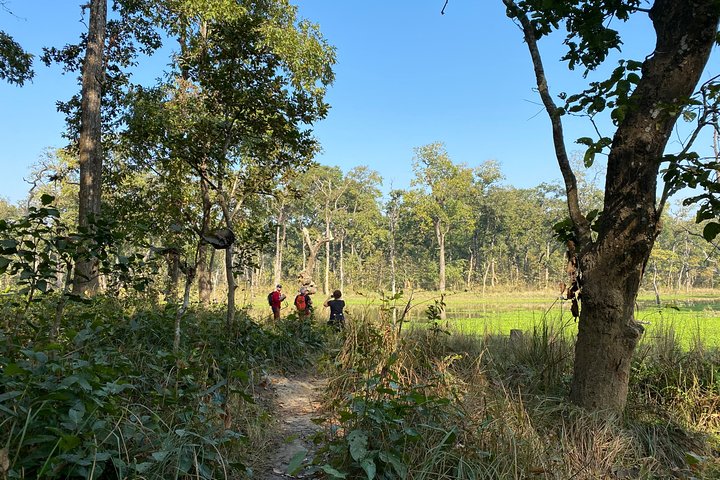 3 Nights 4 Days Comfortable Chitwan Safari Tour