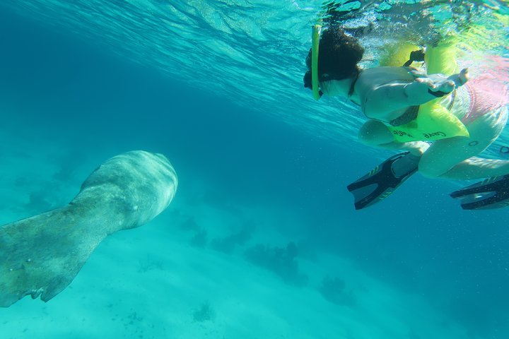 Hol Chan Full-Day Bucket List Snorkeling and Marine Life Tour