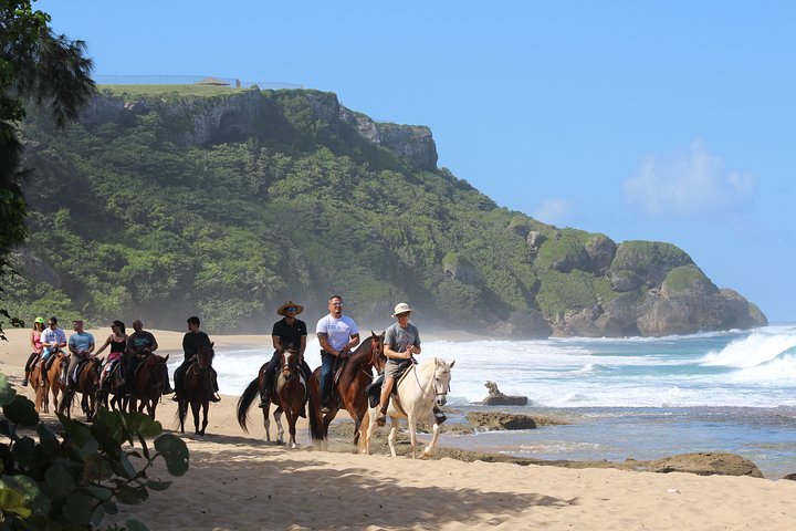 Horseback Riding through Secluded Beaches and Tropical Forests