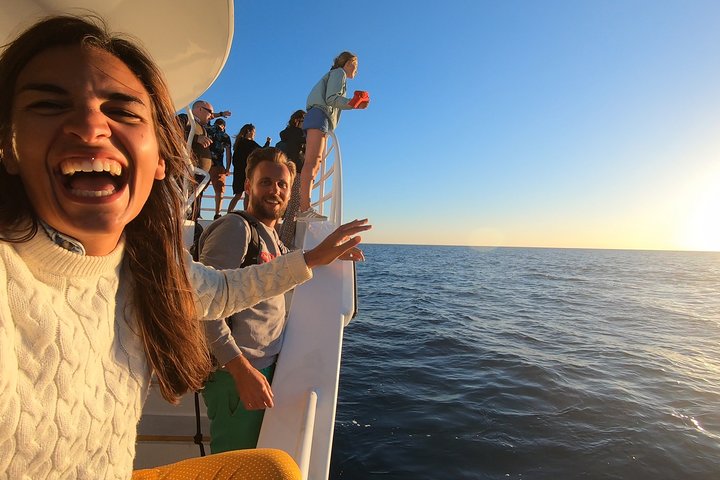 Hervey Bay Whale Watching Experience