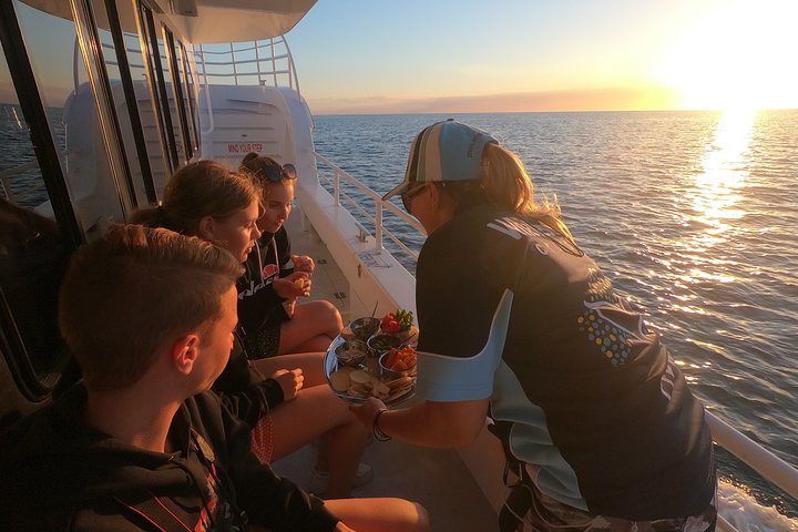 Hervey Bay Whale Watching Experience