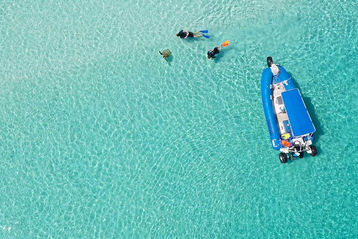 Remote K'gari (Fraser Island) & Whale Experience