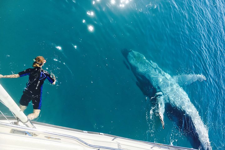 Remote K'gari (Fraser Island) & Whale Experience
