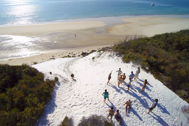 Remote K'gari (Fraser Island) & Whale Experience