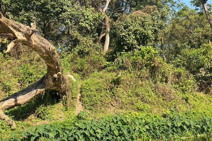 Chitwan Jungle Safari with Overnight Stay