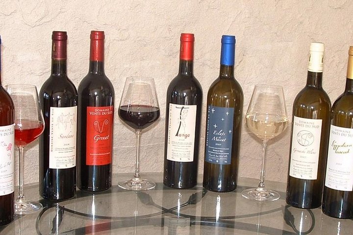 tasting workshop of 6 to 8 wines with charcuterie chocolate cheese