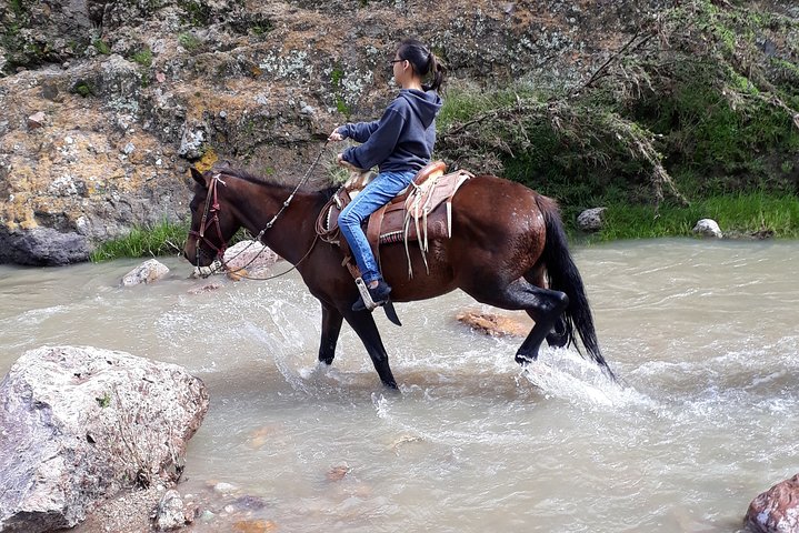 Half Day Trail Riding in San Miguel de Allende