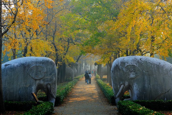 Nanjing Private English Tour Guide Service