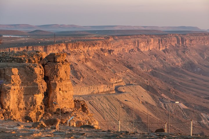 The best of Ramon Crater Private walking tour