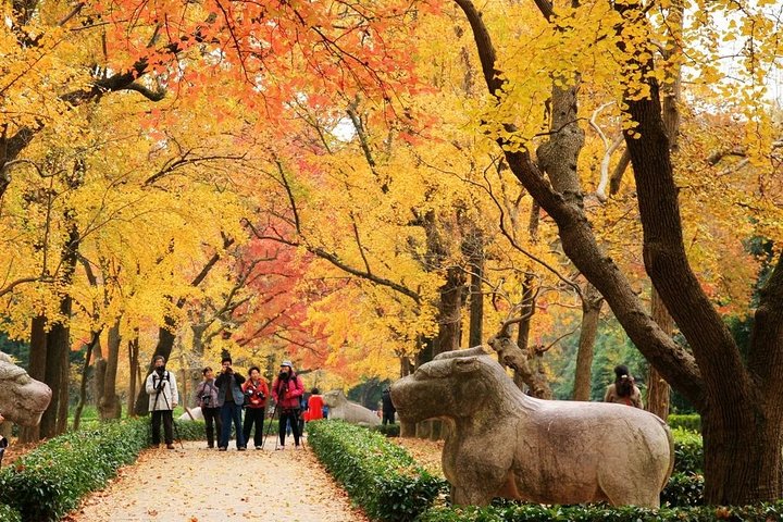 Private Amazing Nanjing City Day Tour in Your Way