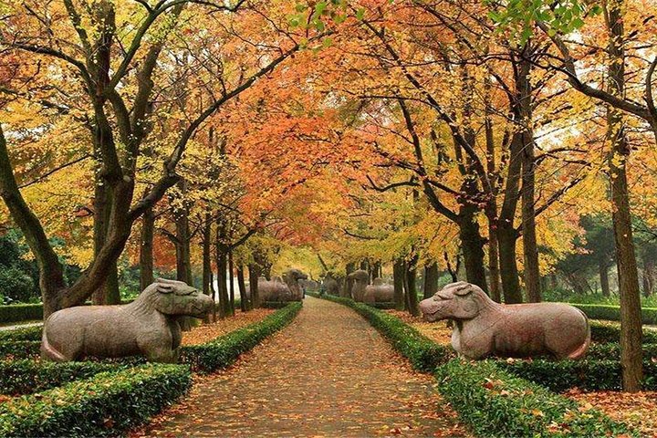 All Inclusive Amazing Nanjing City Highlights Private Day Tour