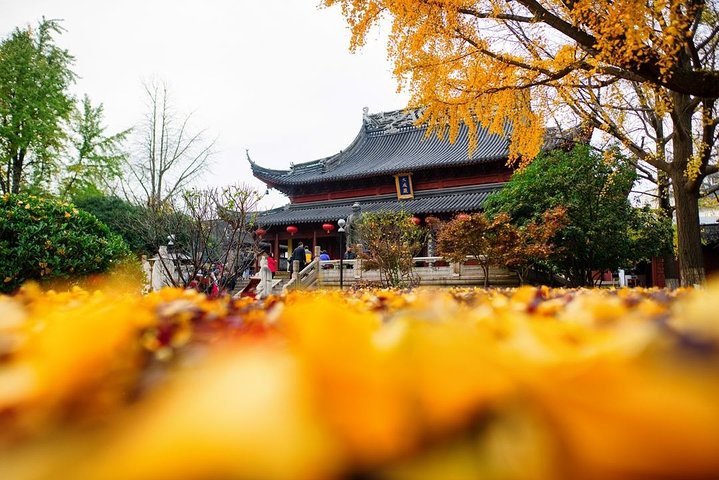 All Inclusive Amazing Nanjing City Highlights Private Day Tour