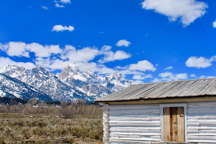 Grand Teton Half Day Tour