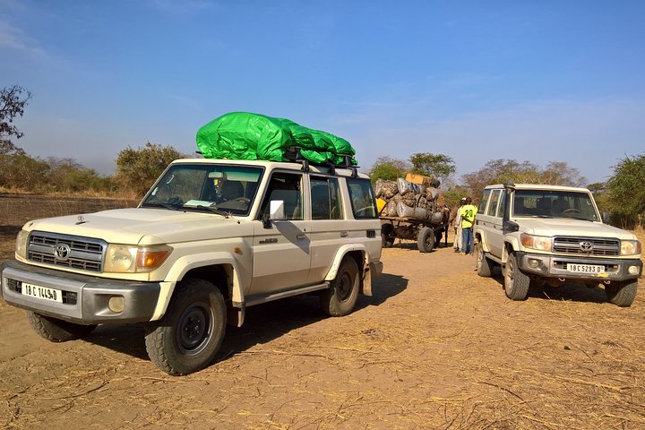 SAFARI - Zakouma National Park