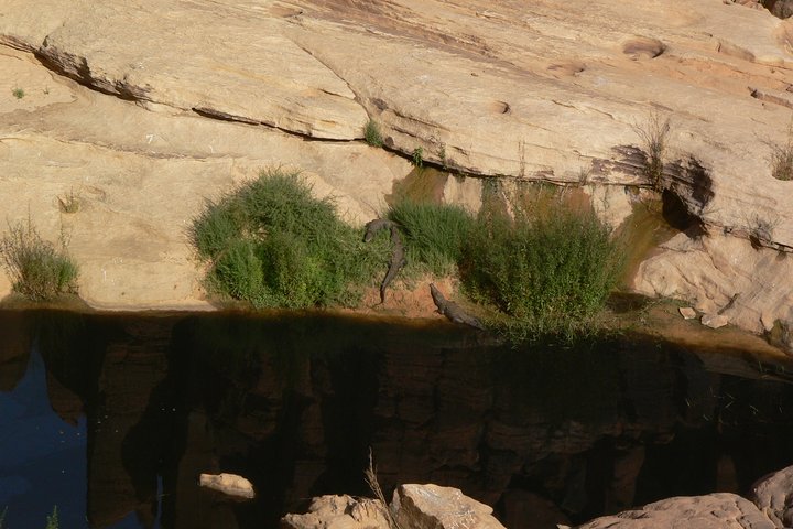 Visit of the Ennedi Nature Reserve 10 days