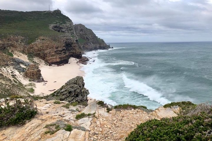 Table Mountain, Boulders Penguins and Cape point Day Tour
