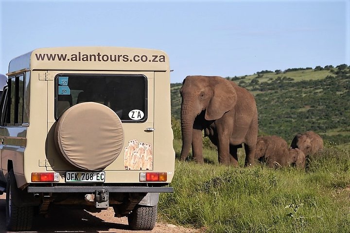 Addo Elephant National Park from Port Elizabeth - FD01