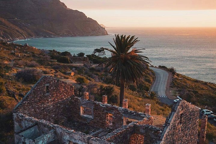 Table Mountain, Boulders Penguins and Cape point Day Tour