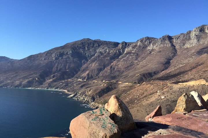 Table Mountain, Boulders Penguins and Cape point Day Tour