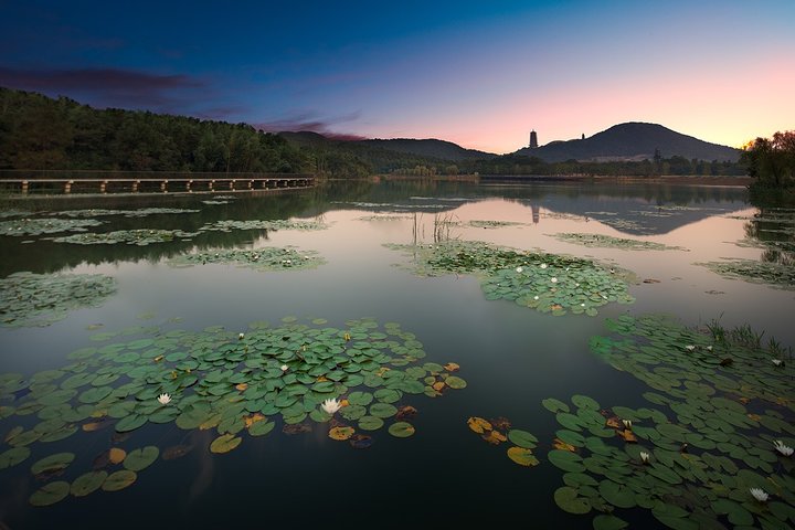 Private Day Tour to Niushoushan Cultural Park in Nanjing