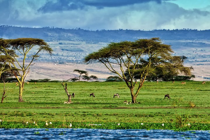 The best of Naivasha walking tour