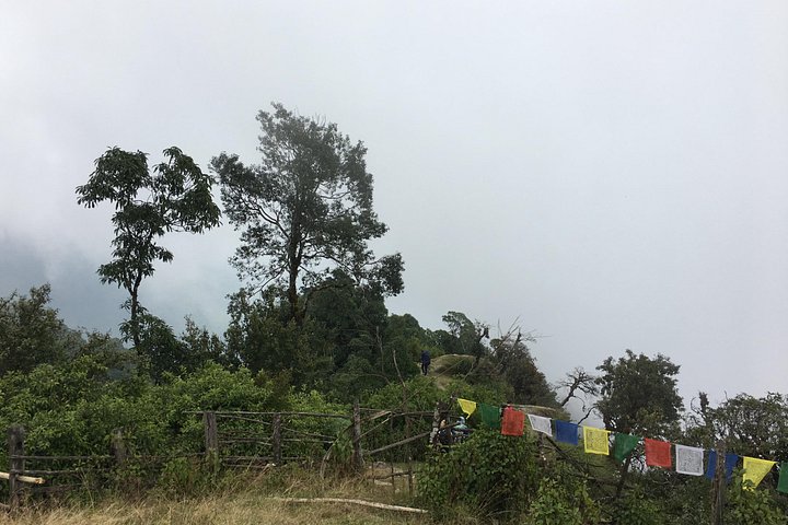 Overnight Dhampus Australian Camp Easy Hiking from Pokhara
