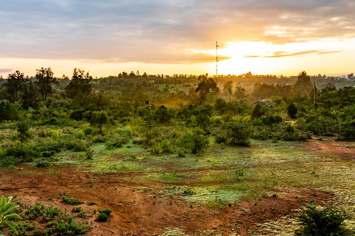 Romantic Tour In Nanyuki