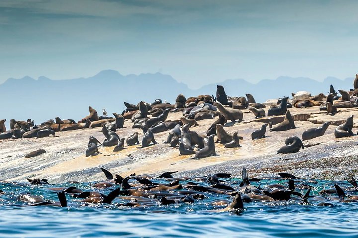 Explore The Garden Route - 4 Days