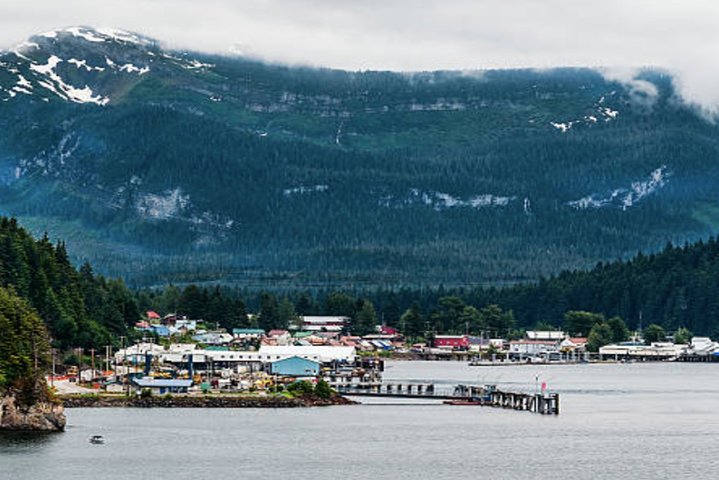 Icy Strait Shore Excursion: Whale Watching Adventure Tour