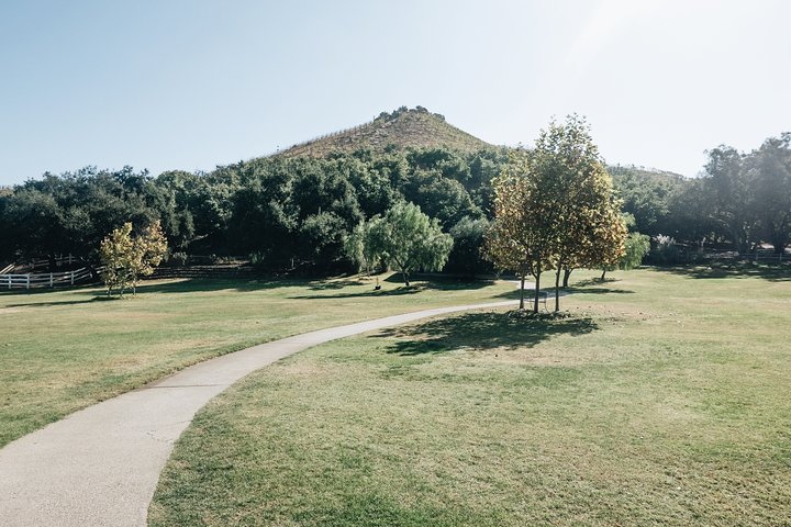 Malibu: Guided Vineyard Hike with Photo Stops and Wine