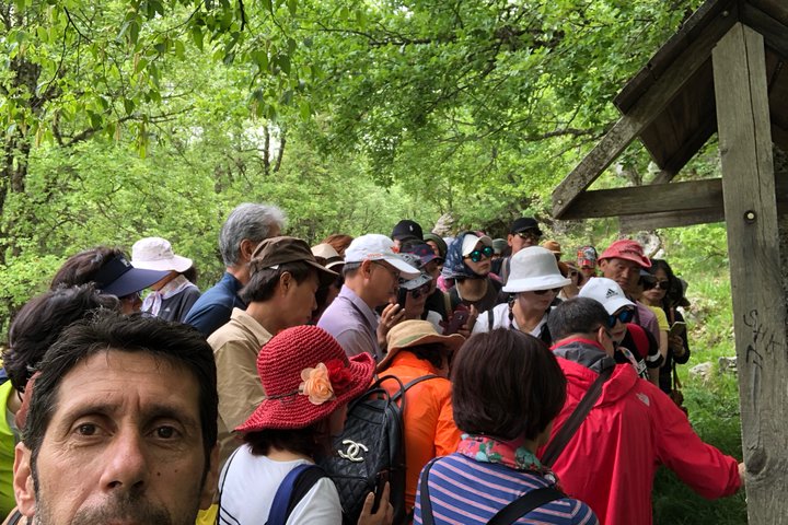 Sightseeing Zagori daily tour