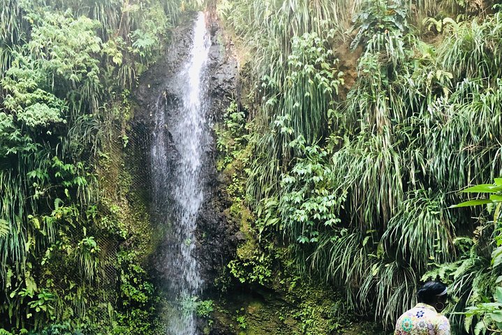 Private All Inclusive Speedboat to Soufriere with Lunch, Mud Bath & Waterfall