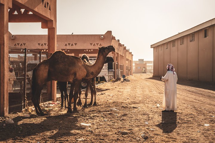 Al Ain: A Romantic Journey Through Iconic Landscapes