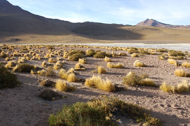 3-Days Discovery at San Pedro de Atacama