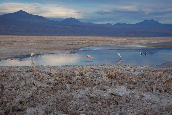 3-Days Discovery at San Pedro de Atacama