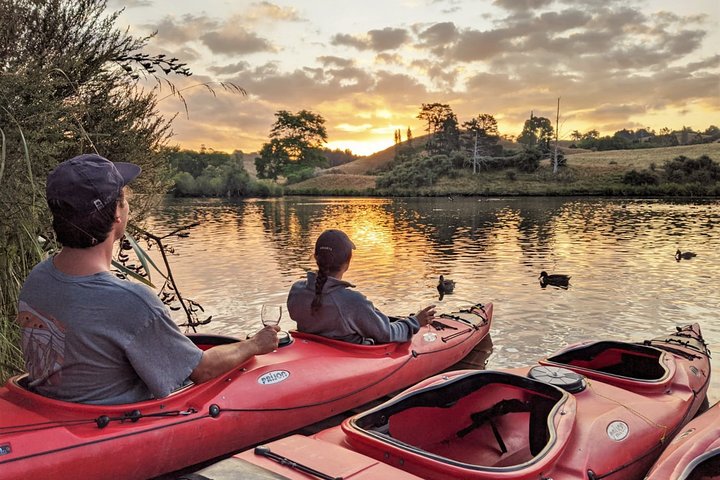 Tauranga: Evening Glowworm Kayak Tour